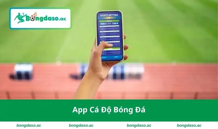App Cá Độ Bóng Đá