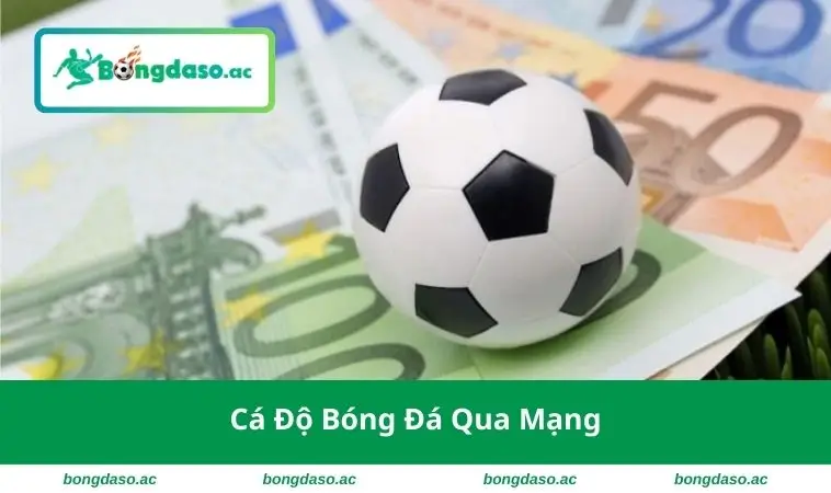 Cá Độ Bóng Đá Qua Mạng