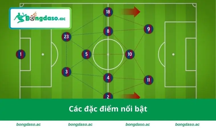 Các đặc điểm nổi bật