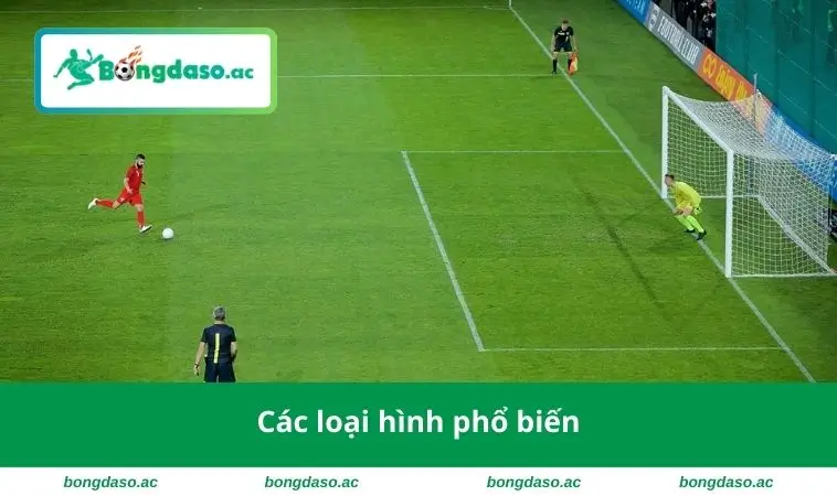Các loại hình phổ biến