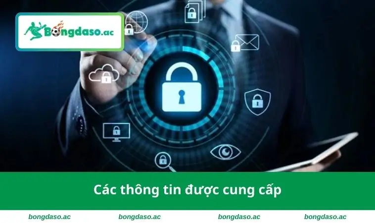 Các thông tin được cung cấp