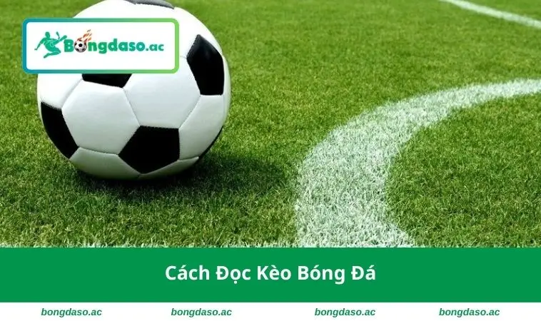 Cách Đọc Kèo Bóng Đá