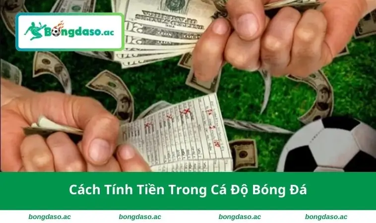 Cách Tính Tiền Trong Cá Độ Bóng Đá