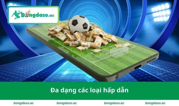 Đa dạng các loại hấp dẫn