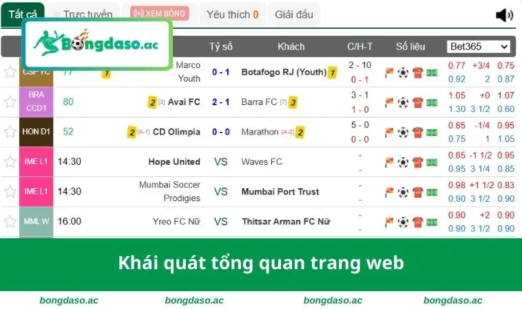 Khái quát tổng quan trang web