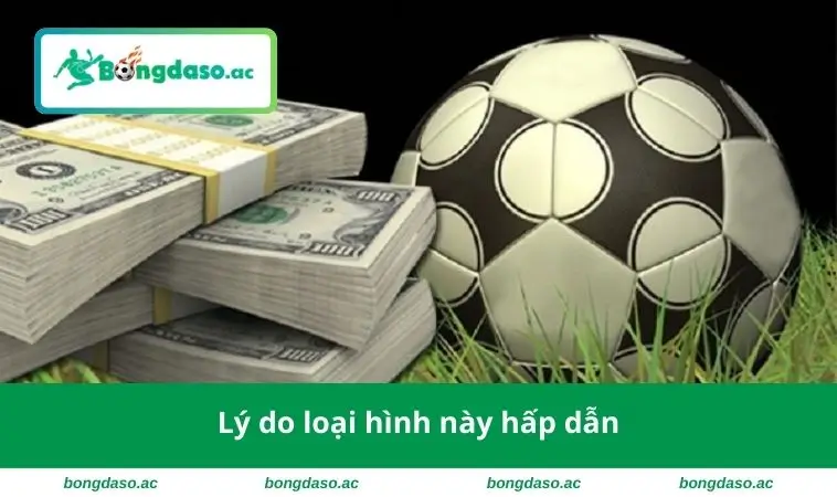 Lý do loại hình này hấp dẫn