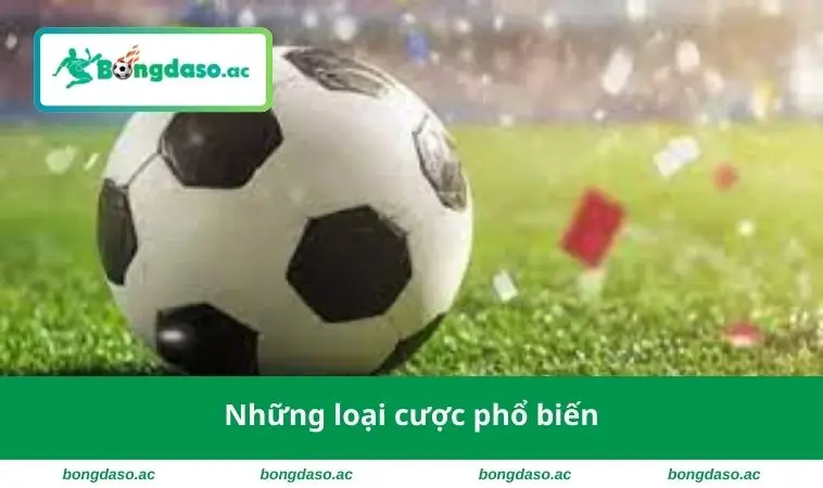 Những loại cược phổ biến