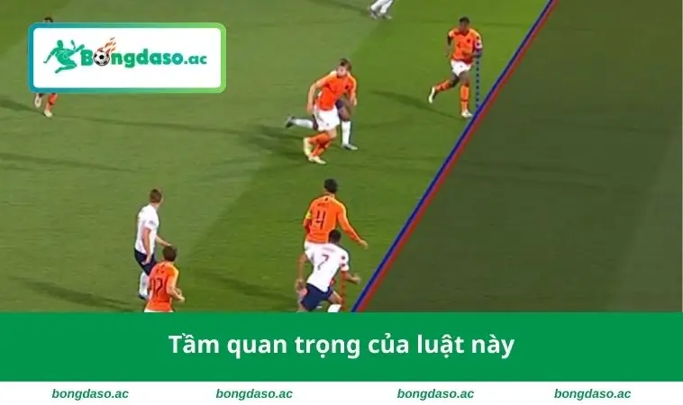 Tầm quan trọng của luật này