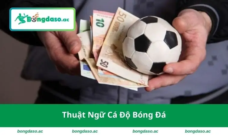 Thuật Ngữ Cá Độ Bóng Đá
