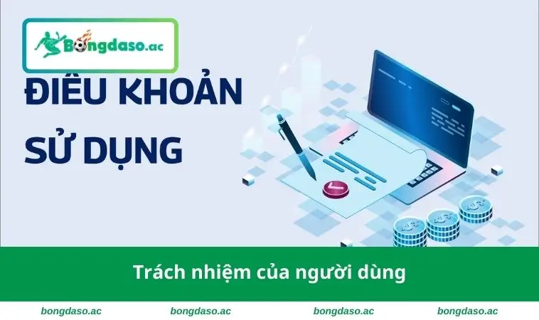 Trách nhiệm của người dùng 