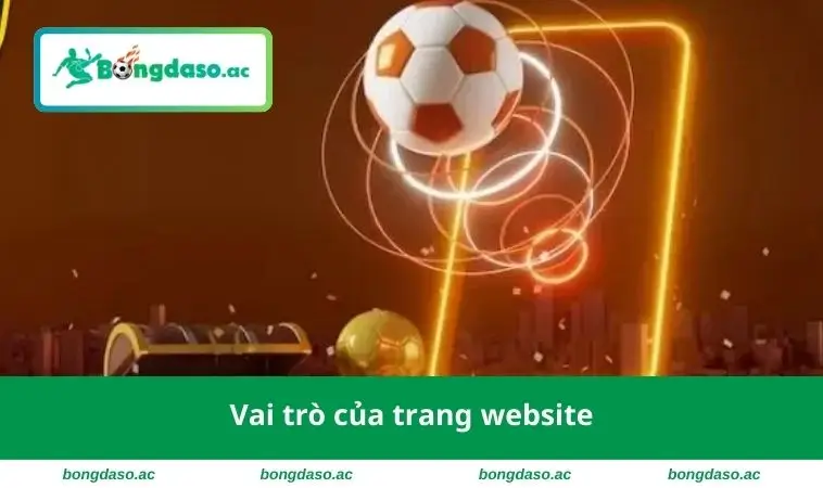 Vai trò của trang website